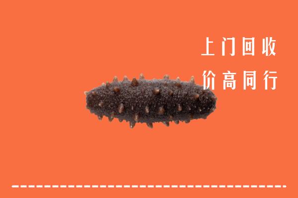 吕梁回收海参